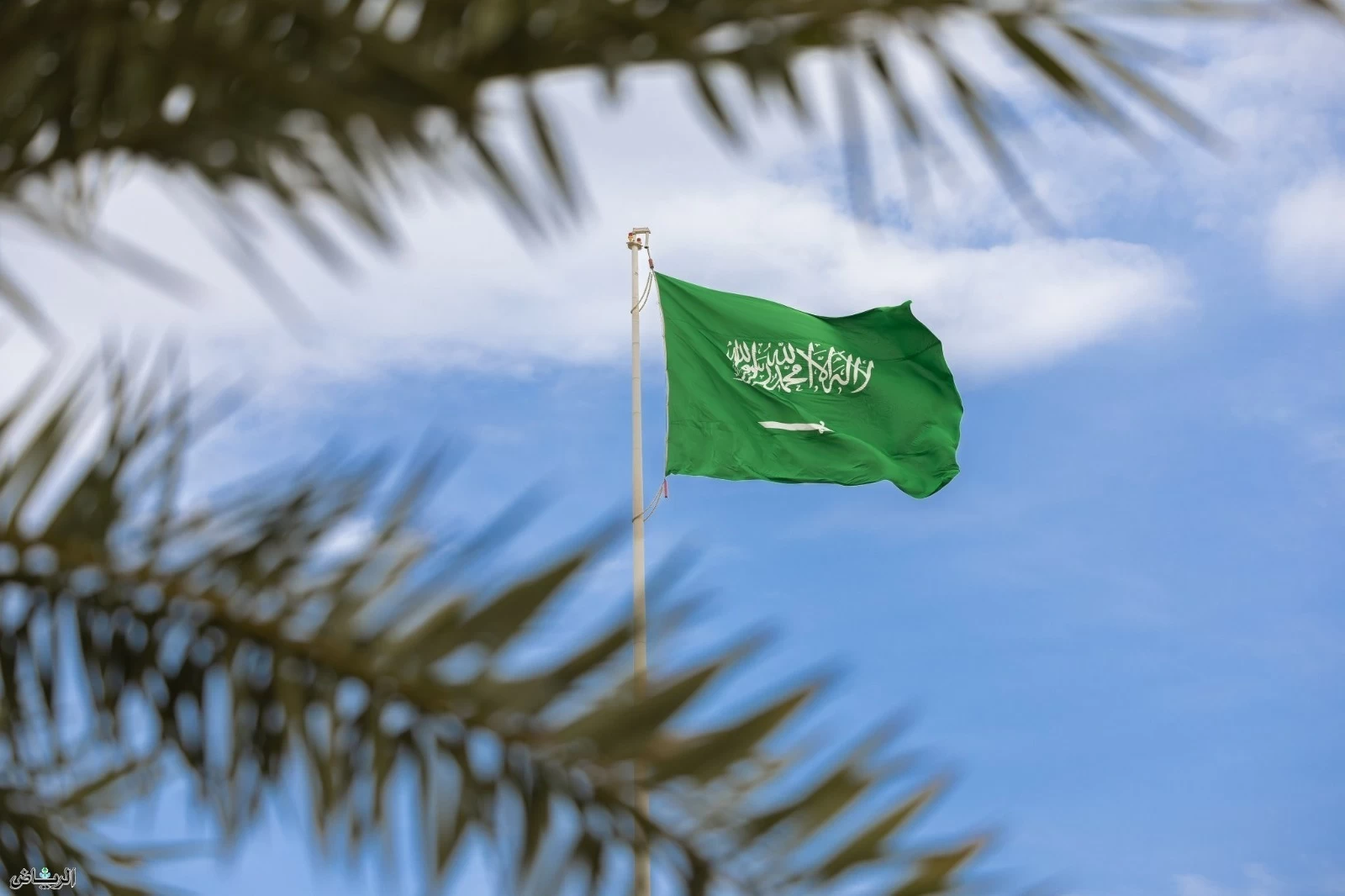 السعودية تتقدم بالتعازي للجزائر بعد حادث مروري مأساوي